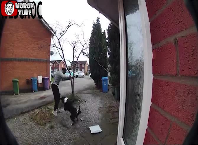 Video :This delivery guy opens the door of a residence he doesn't know, which is a mistake